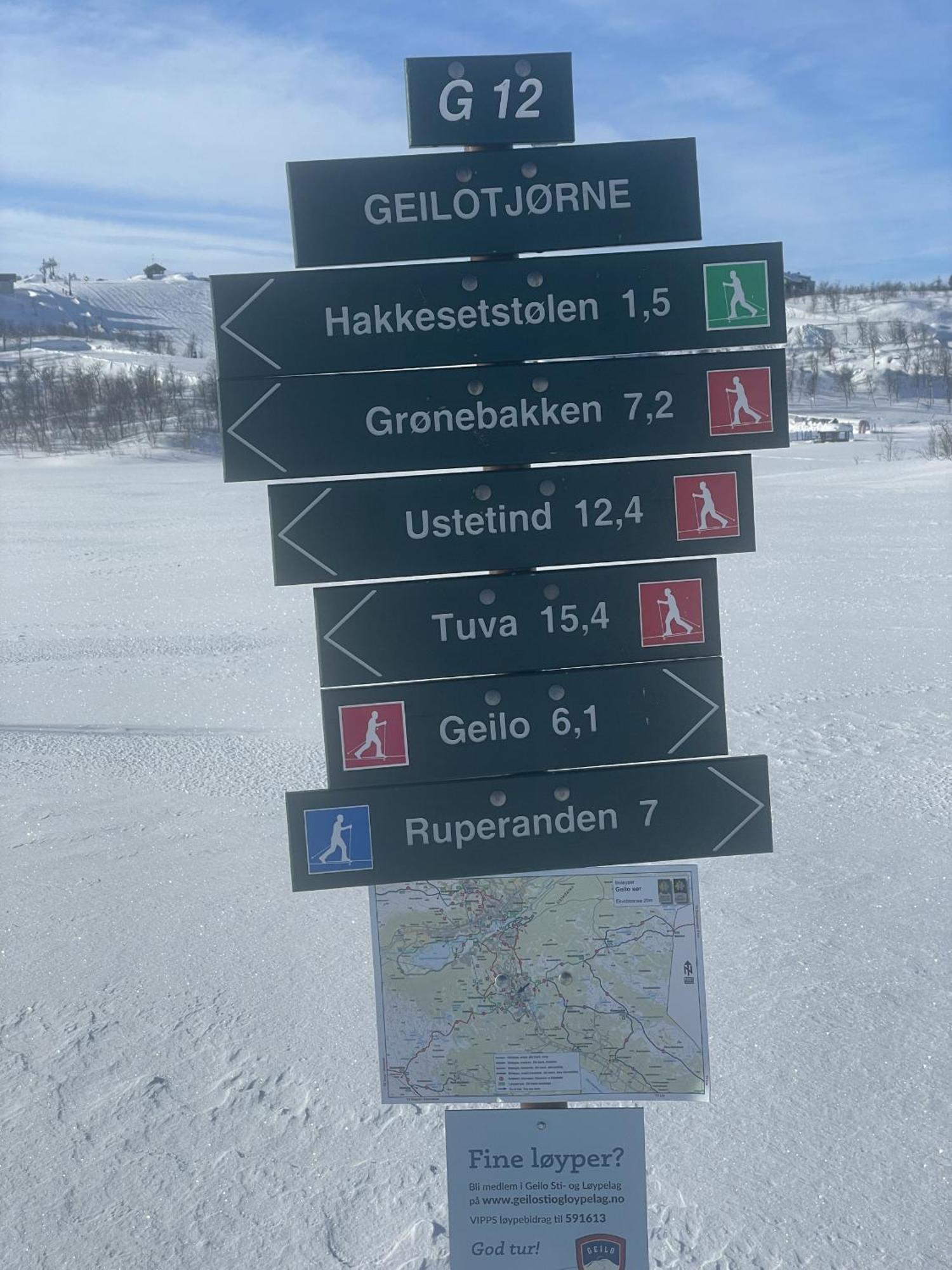Geilo-Kikut, Ski-In, Ski-Out With Stunning Trails And Perfect Location Buitenkant foto